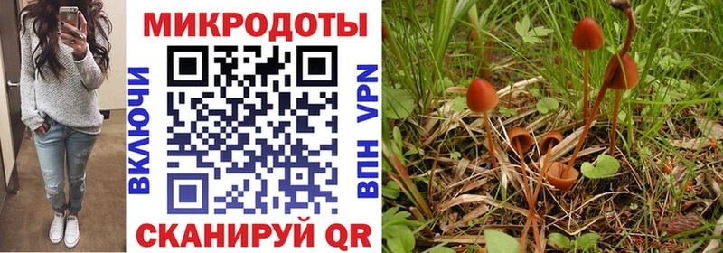 Псилоцибиновые грибы ЛСД Урай